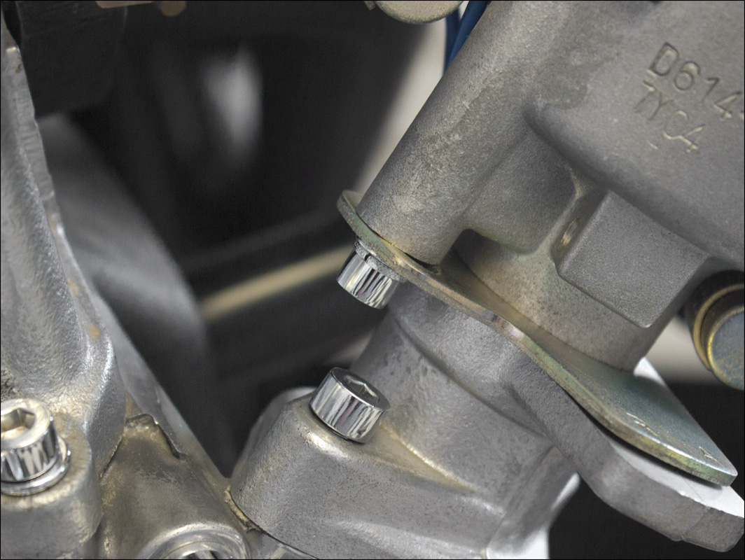 Motorsport Auto - The Z Store - Chromed Distributor Plate